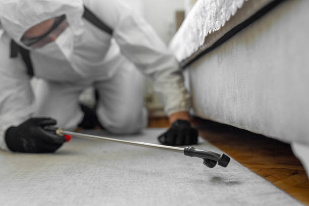 Professional Bed Bug Control technician working in Stamford, TX
